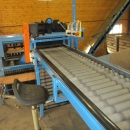 4112 EMVE diabolo grading line with inspection etc