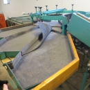 4159 Greefa apple sorter