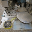 4169 Newtec G30A weigher and bagger for carrots