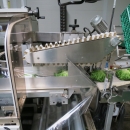 4199 GNA AV550 flow-pack horizontal