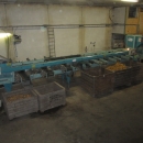 4203 / 4544 Sammo optical grader for apple, potatoes etc