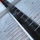 4212 EKKO length grader for carrots