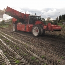 4290 DEWULF RQ3060 potato harvester