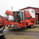 4290 DEWULF RQ3060 potato harvester