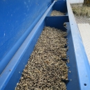 4328 Fiona row fertilizer