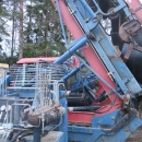 4350 Asa-Lift carrot harvester T-200E 2 row with elevator