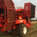 4360 Dewulf RDT 952 2 row potato harvester with bunker