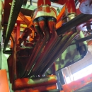 4557 Dewulf GBC carrot harvester 1 row with bunker