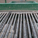 4592 Wuhlmaus WM 8500 2 row potato harvester