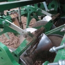 4592 Wuhlmaus WM 8500 2 row potato harvester