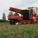 4603 Dewulf RQ3060 2 row potato harvester