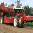 4603 Dewulf RQ3060 2 row potato harvester