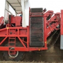 4603 Dewulf RQ3060 2 row potato harvester