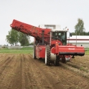 4603 Dewulf RQ3060 2 row potato harvester