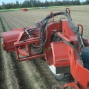 4603 Dewulf RQ3060 2 row potato harvester