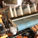 4604 Ortomec corn salad harvester
