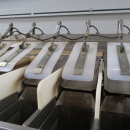 4616  Newtec 2009G Computer weigher for carrots