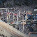 4631 Asa-Lift garlic harvester