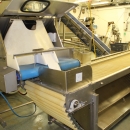 4642 LIMAS potato peeling Line with step peeler