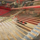 4653 Grimme DL1500 2 row with Elevator