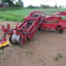 4662 Juko MIDI potato harvester mounted for box