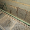 4742 Schouten grading line for potato