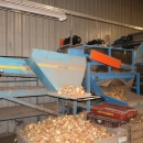 4756 EMVE grading line with receiving hopper