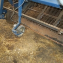 4762 Asa-Lift WR300 onion windrower