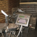 4768 Newtec 3009 weigher with bagging line for carrots