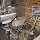 4768 Newtec 3009 weigher with bagging line for carrots