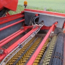 4822 Grimme GZ1700 Potato harvester