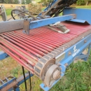 4837 Asa-Lift harvester for bunch carrots