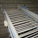 4923 Asa-Lift carrot harvester with roller table for big box