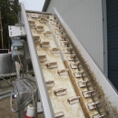 4960 Ekomatic weigher Stainless Steel