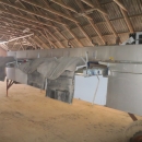 4965 WYMA rollergrader / lift roller sizer for potato / onion