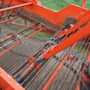 5026 AMAC E2 potato harvester / onion harvester