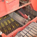5035 Grimme SE75-40 potato harvester