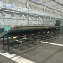 5069 Greefa MSE CCS 2000 apple fruit sorter