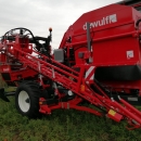 5077 Dewulf GBC carrot harvester with bunker