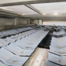 5080 Newtec Celox optical potato sorter grader