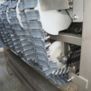 5080 Newtec Celox optical potato sorter grader