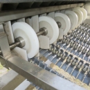 5080 Newtec Celox optical potato sorter grader