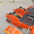 5160 Checchi & Magli Wolf with plastic mulch layer