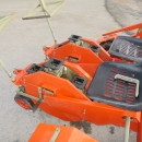 5160 Checchi & Magli Wolf with plastic mulch layer