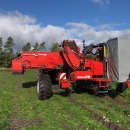 5162 Dewulf GBC Möhrenroder