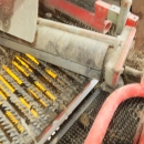 5208 Grimme SE75-30 potato harvester