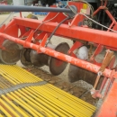 5218 Grimme RL 1500 windrower