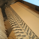 5220 EMVE screen grading line