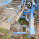 5290 Asa-Lift carrot harvester with elevator