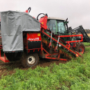 5335 Dewulf P3K carrot harvester with elevator